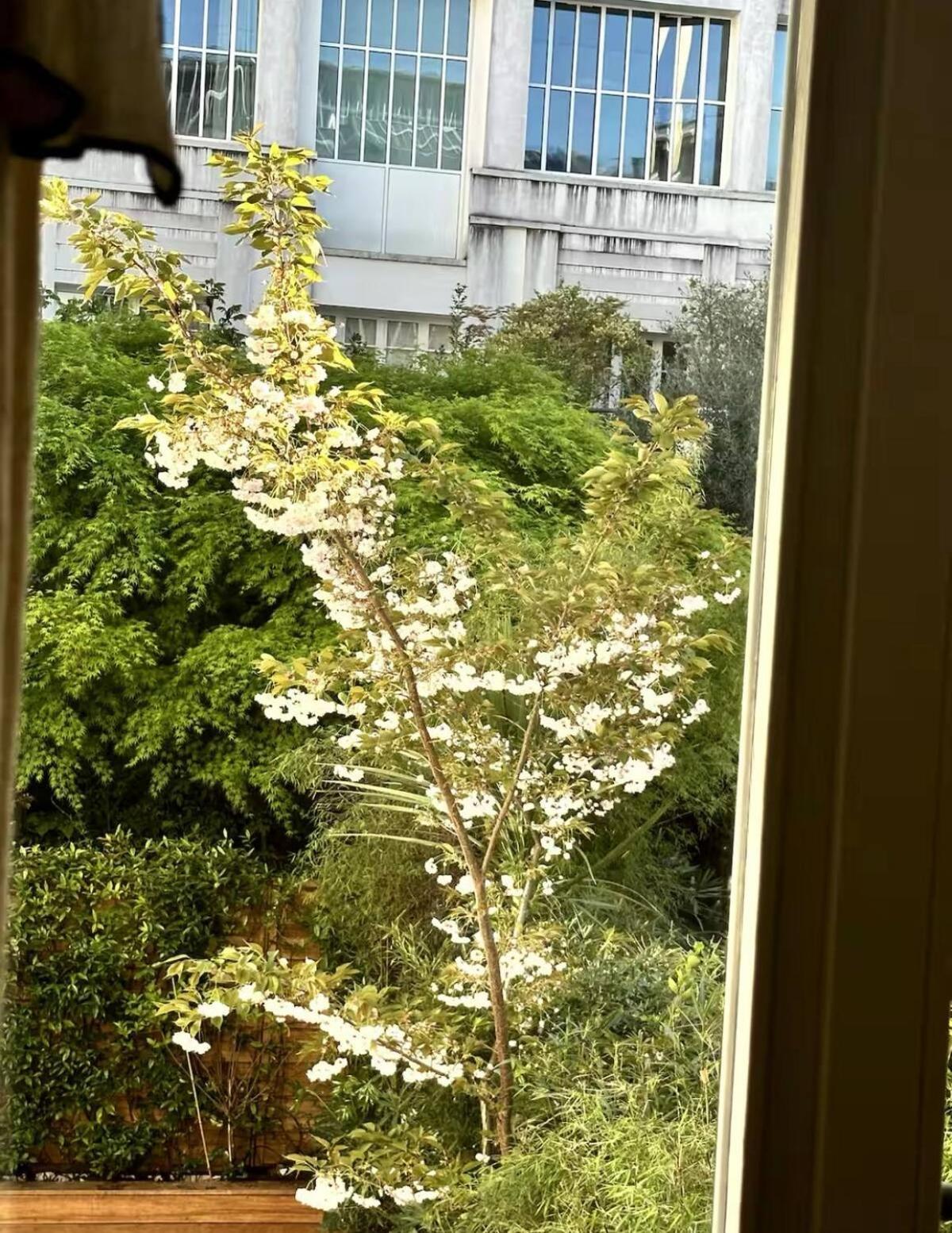 Architect Apartment Paris